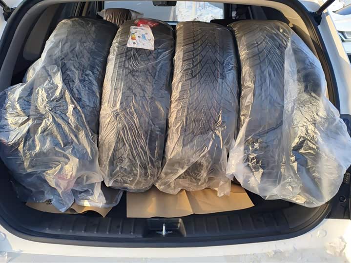 Kia Sportage GT-line 2021 2021款 Ace 2.0L 精彩版