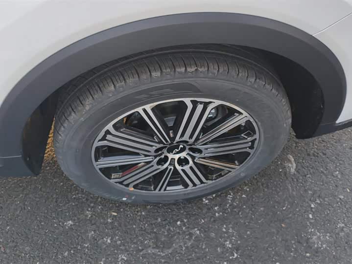 Kia Sportage GT-line 2021 2021款 Ace 2.0L 精彩版