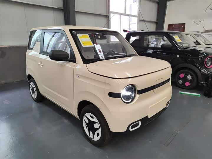 Geely Galaxy Panda Mini 2025 2025款 熊猫mini 210km 元气熊