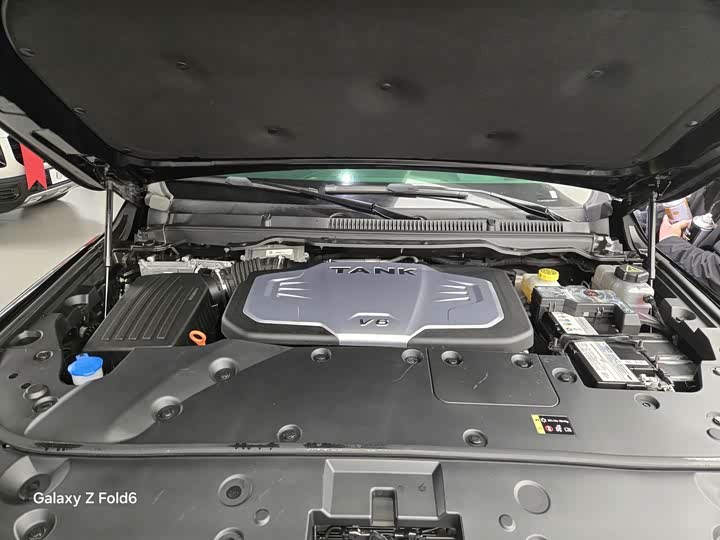 Tank 500 2023 2023款 3.0T 商务版 登峰型 5座