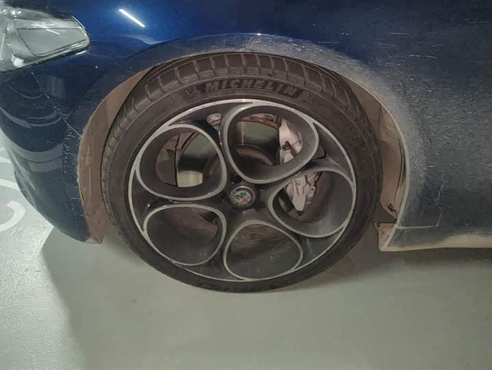 Alfa Romeo Giulia 2021 2021款 2.0T 280HP 豪华版