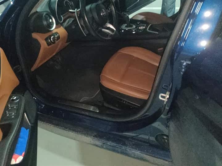 Alfa Romeo Giulia 2021 2021款 2.0T 280HP 豪华版