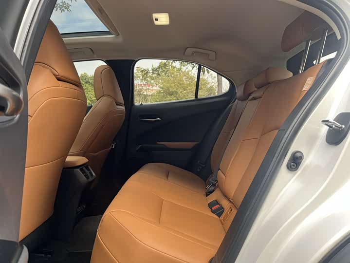 Lexus UX Hybrid 2020 2020款 300e 纯·悦版