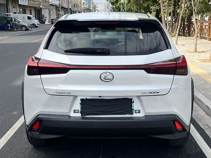 Lexus UX Hybrid 2020 2020款 300e 纯·悦版