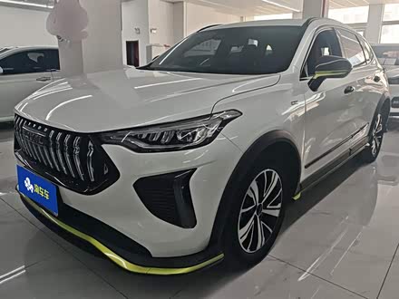 Haval Chitu 2022 2022款 1.5L DHT王者兔