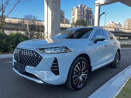 Wey Mocha 2021 2021款 2.0T 四驱特醇版