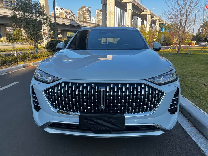 Wey Mocha 2021 2021款 2.0T 四驱特醇版