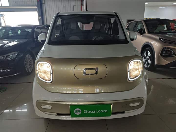 Bestune Pony 2025 2025款 222km 闪电马