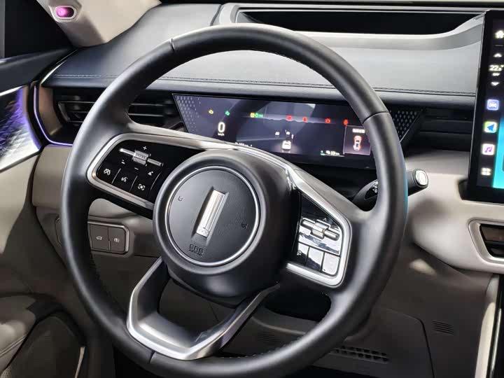 Wey Mocca Hybrid 2024 2024款 Hi4 四驱长续航版