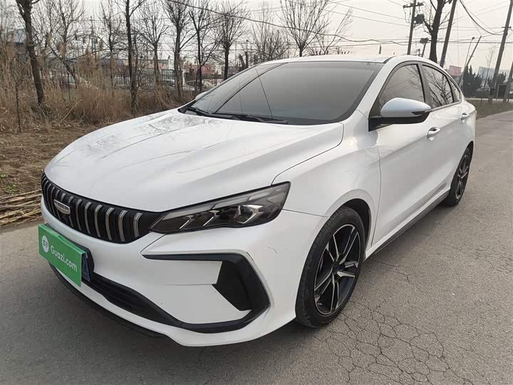 2024 Geely Binrui