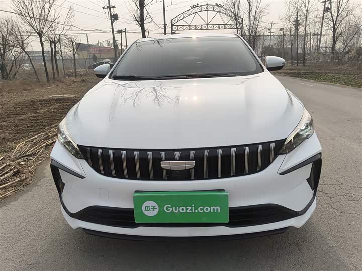 2024 Geely Binrui