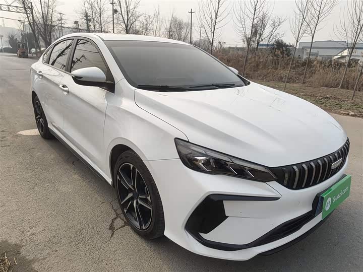 2024 Geely Binrui