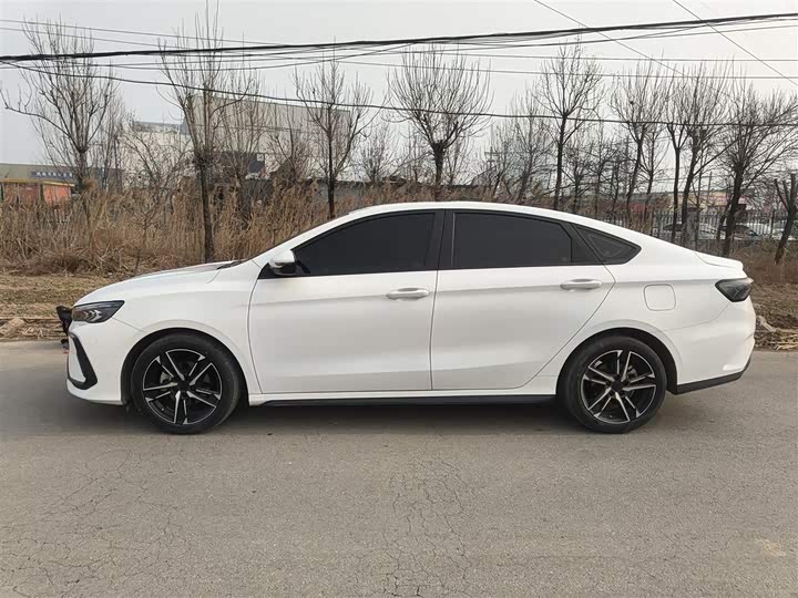 2024 Geely Binrui
