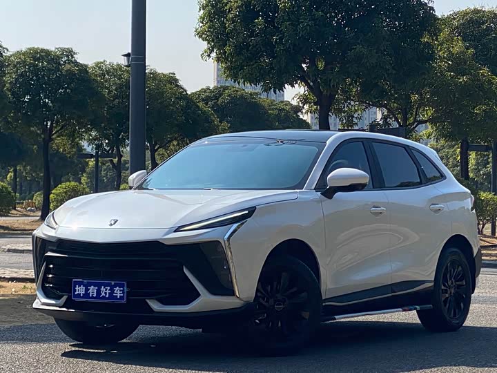 Dongfeng Forthing T5 EVO 2024 2024款 狂飚版 1.5TD DCT铂金款