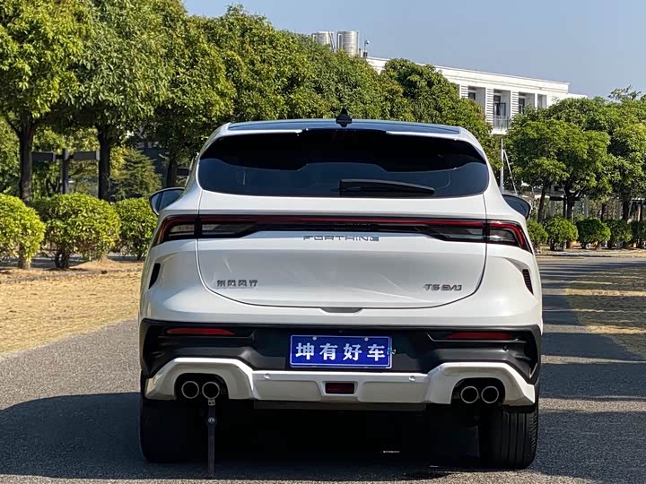 Dongfeng Forthing T5 EVO 2024 2024款 狂飚版 1.5TD DCT铂金款