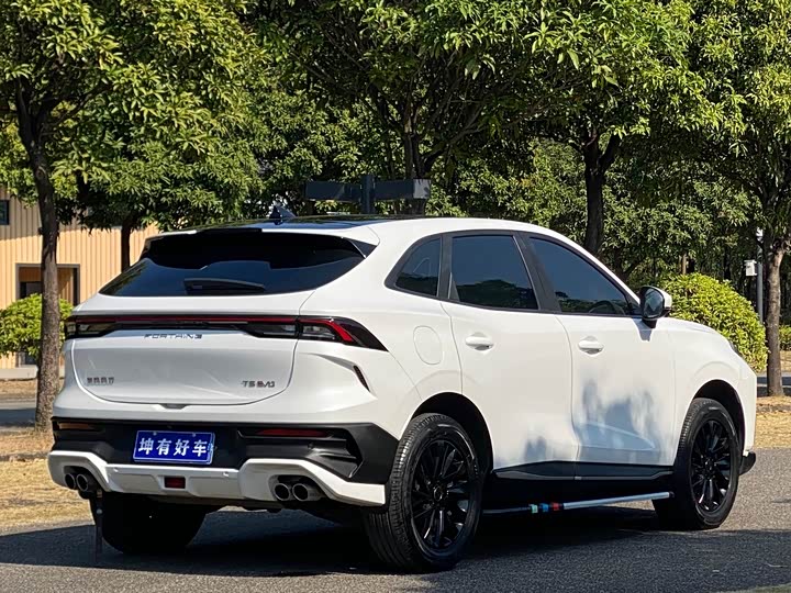 Dongfeng Forthing T5 EVO 2024 2024款 狂飚版 1.5TD DCT铂金款