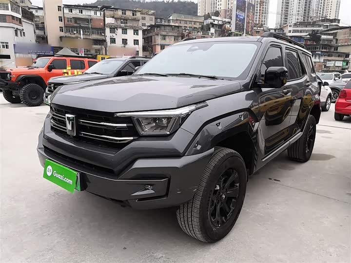 Tank 400 Hybrid 2024 2024款 Hi4-T 越野版