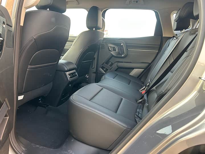 Haval H-Dog 2023 2023款 2.0T 两驱潮野版Plus