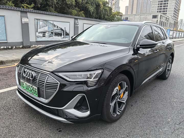 Audi e-tron 2021 2021款 50 quattro 臻选型