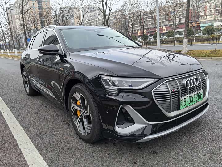 Audi e-tron 2021 2021款 50 quattro 臻选型