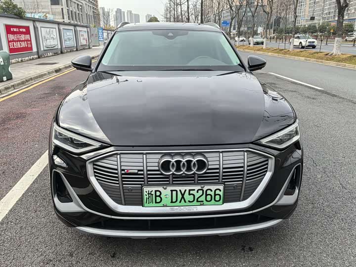 Audi e-tron 2021 2021款 50 quattro 臻选型
