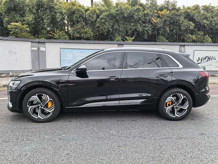 Audi e-tron 2021 2021款 50 quattro 臻选型