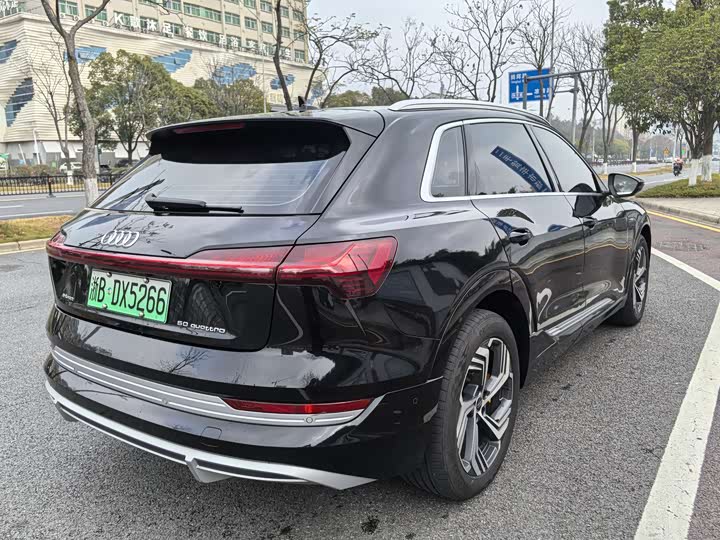 Audi e-tron 2021 2021款 50 quattro 臻选型
