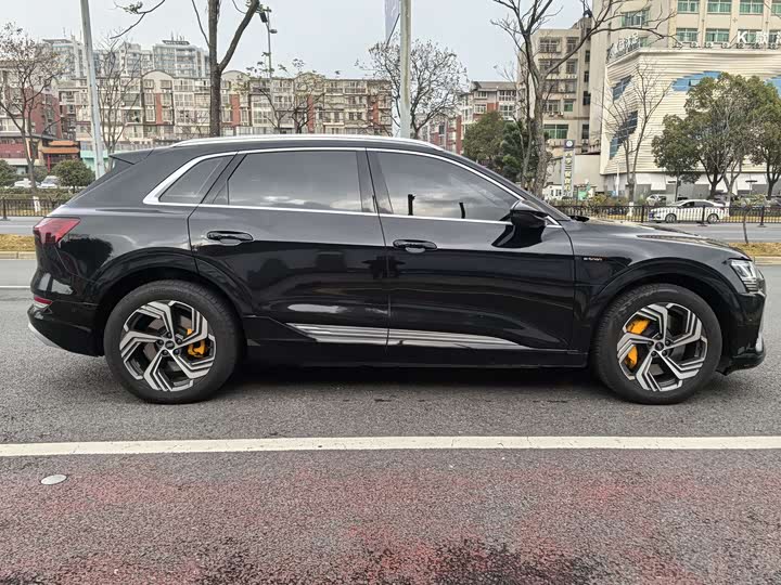 Audi e-tron 2021 2021款 50 quattro 臻选型