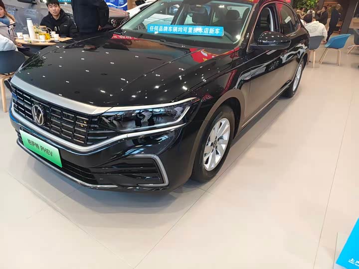 Volkswagen Passat Hybrid 2025 2025款 430PHEV 混动商务版