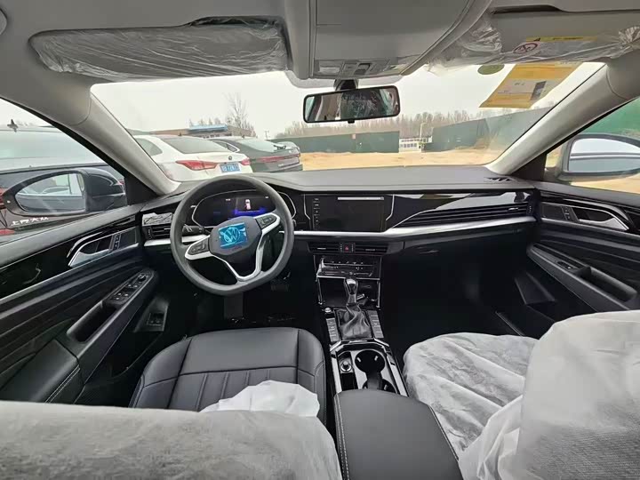 Volkswagen Passat Hybrid 2025 2025款 430PHEV 混动商务版