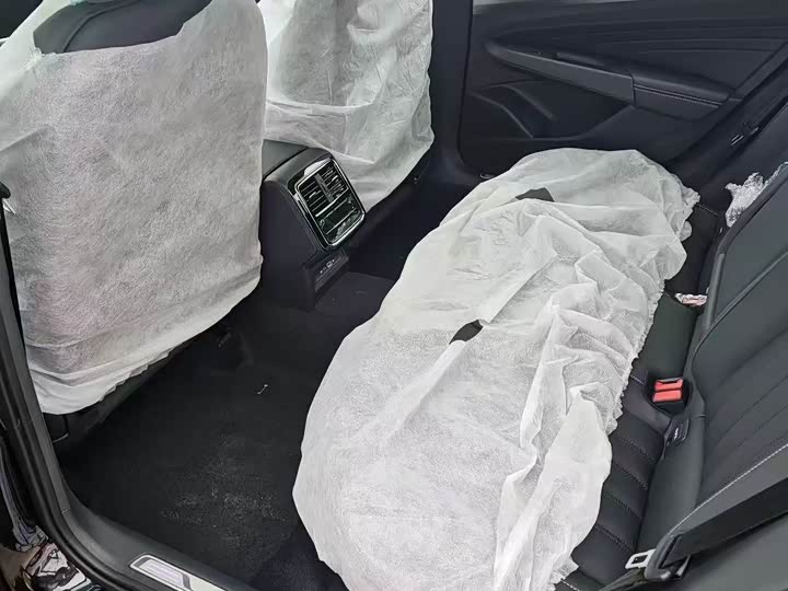 Volkswagen Passat Hybrid 2025 2025款 430PHEV 混动商务版