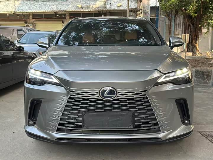 Lexus RX 2023 2023款 350h 两驱舒享版