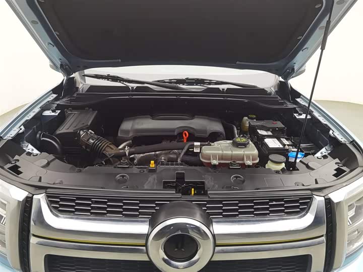 Great Wall King Kong Poer 2023 2023款 2.0T自动汽油两驱精英型平箱GW4C20C