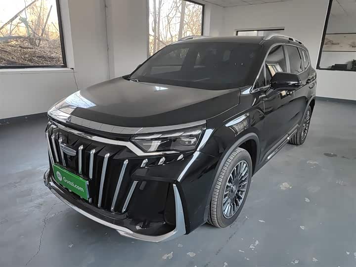 Geely Okavango L 2025 2025款 2.0T DCT尊享款