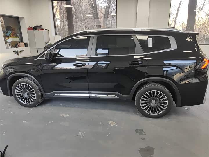 Geely Okavango L 2025 2025款 2.0T DCT尊享款