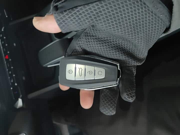 Geely Okavango L 2025 2025款 2.0T DCT尊享款