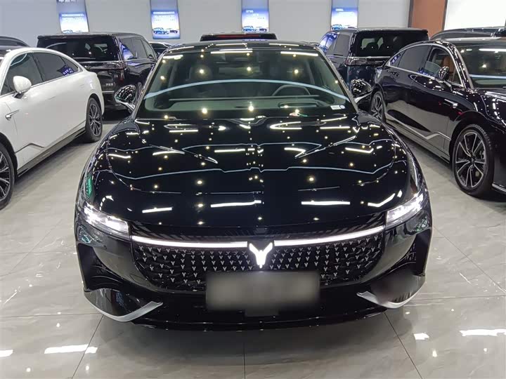 Voyah Passion 2024 2024款 PHEV 四驱超长续航旗舰版