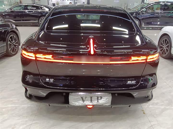 Voyah Passion 2024 2024款 PHEV 四驱超长续航旗舰版