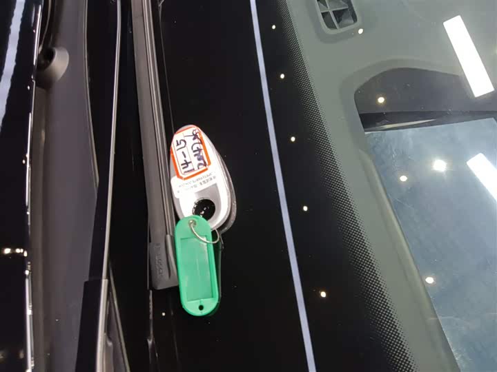 Voyah Passion 2024 2024款 PHEV 四驱超长续航旗舰版