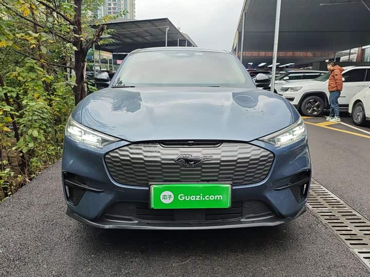 Ford Mustang Mach-E 2021 2021款 无疆后驱豪华版(长续航)