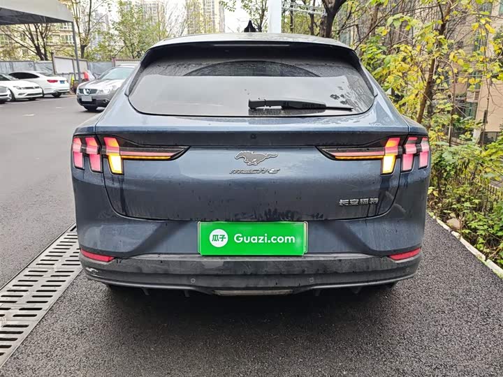 Ford Mustang Mach-E 2021 2021款 无疆后驱豪华版(长续航)