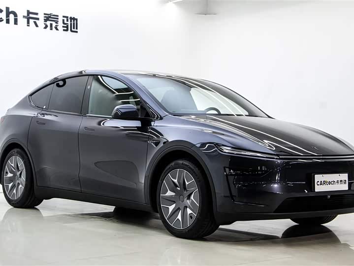 Tesla Model Y 2025 2025款 长续航全轮驱动版