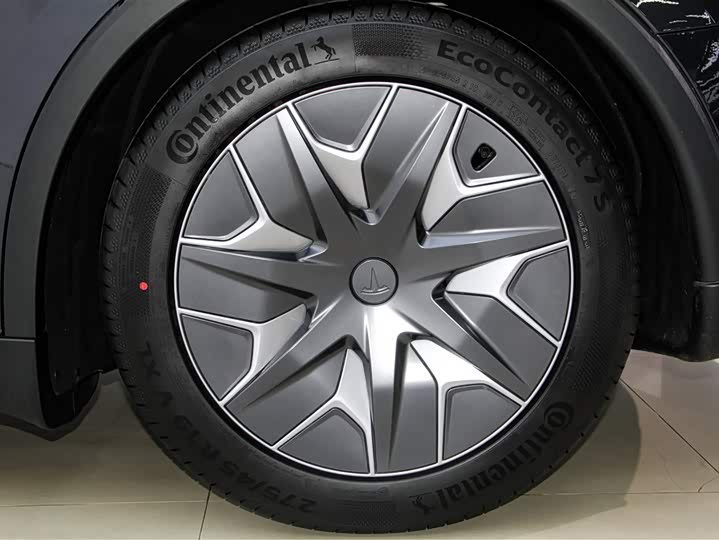 Tesla Model Y 2025 2025款 长续航全轮驱动版