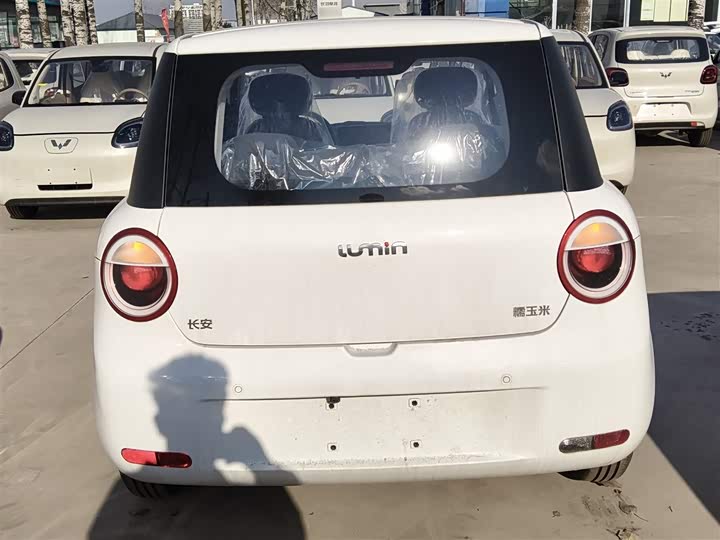 Changan Qiyuan (Nevo) Lumin 2025 2025款 205km 香沁款