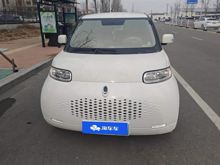 Ora White Cat 2020 2020款 305km 公务版