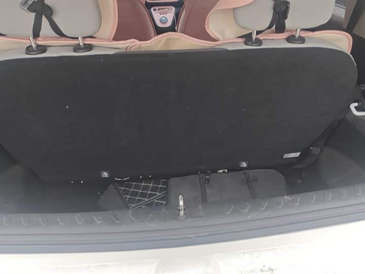 Ora White Cat 2020 2020款 305km 公务版