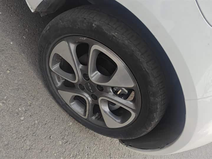 Ora White Cat 2020 2020款 305km 公务版