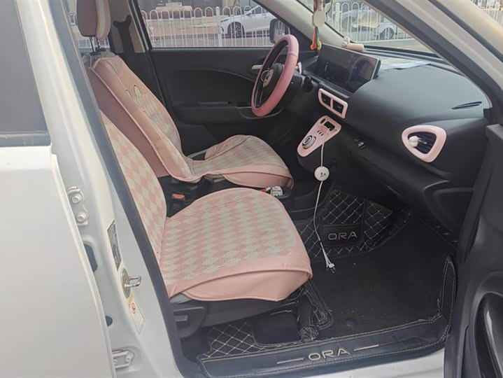 Ora White Cat 2020 2020款 305km 公务版