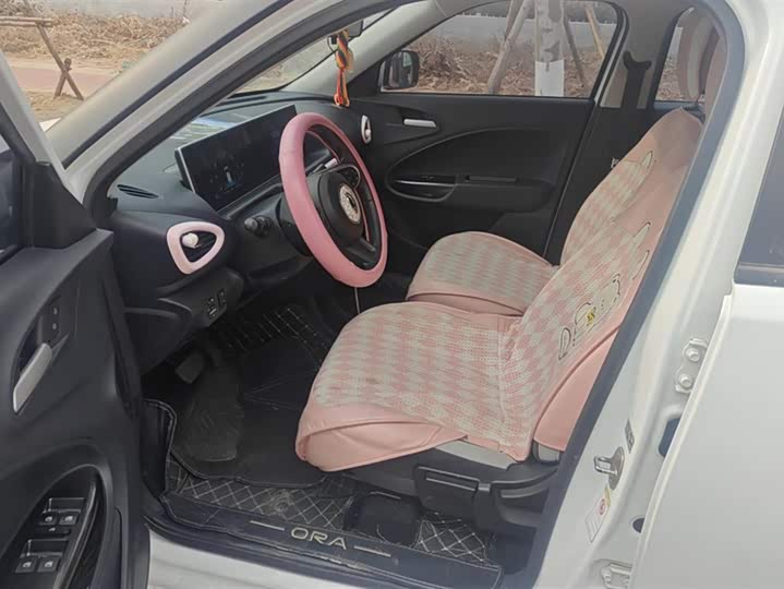 Ora White Cat 2020 2020款 305km 公务版