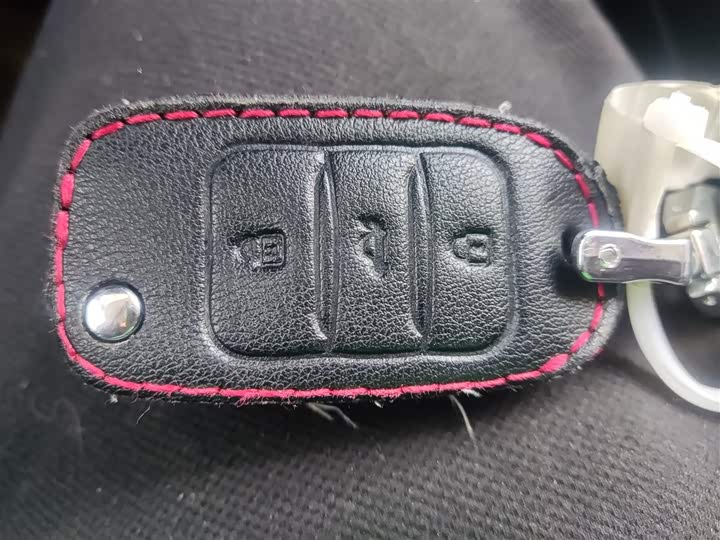 Changan E-Pro 2020 2020款 激擎版